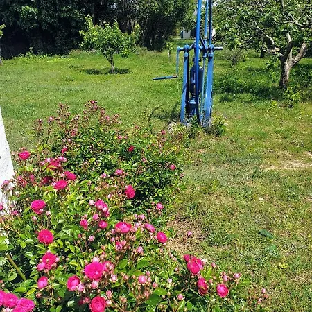 Chalet Sondela Self Catering