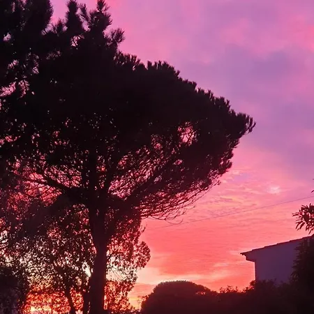 Sondela Self Catering São Martinho do Porto