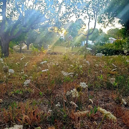 Chalet Sondela Self Catering *