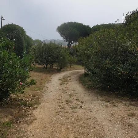 Sondela Self Catering Chalet *