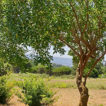 Sondela Self Catering Chalet *