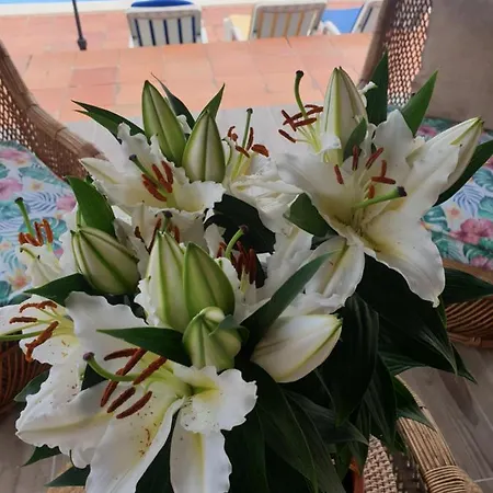 Chalet Sondela Self Catering *