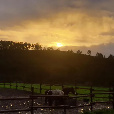 Sondela Self Catering Chalet