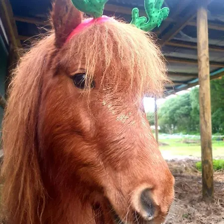 Sondela Self Catering Chalet