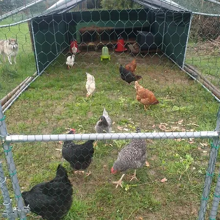 Sondela Self Catering Chalet *