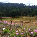Sondela Self Catering Сан-Мартинью-ду-Порту