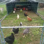 Sondela Self Catering Шале *