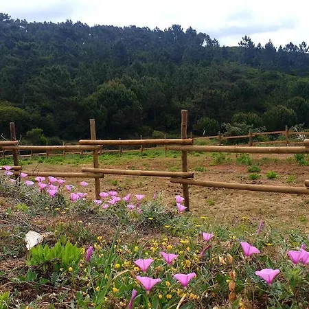 Sondela Self Catering São Martinho do Porto