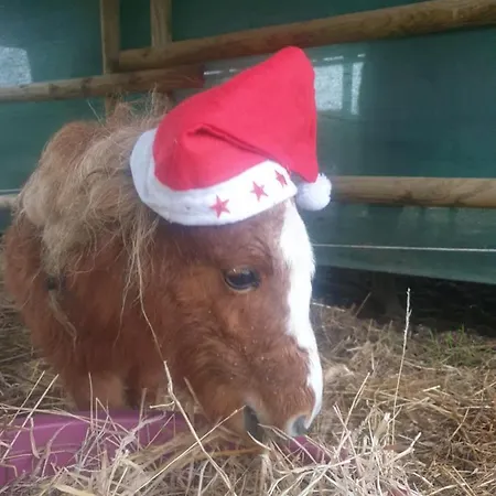 Sondela Self Catering Alpesi faház *