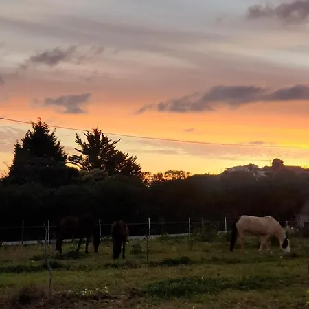 Alpesi faház Sondela Self Catering