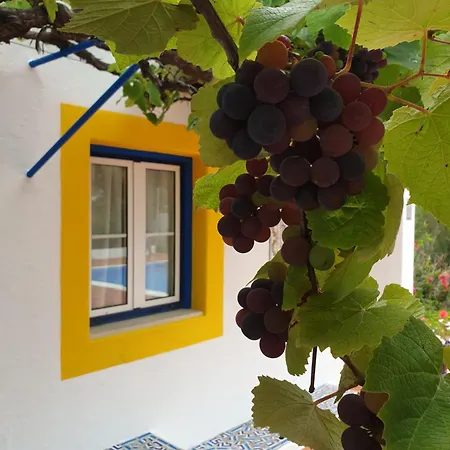 Шале Sondela Self Catering *