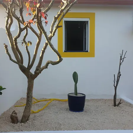 Шале Sondela Self Catering *
