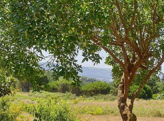 Sondela Self Catering Alpehytte *